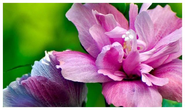 心理醫生是如何和患者進行溝通的？