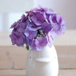 太原心理咨詢師成向東直播間心理現象是生理過程的一部分