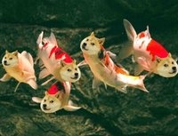 正確的選擇，往往不是思考的結(jié)果