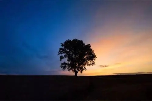 應(yīng)該”敘述可以造成抑郁