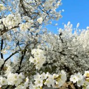 把心胸放寬，讓自己有更多的包容力