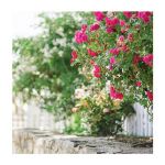 高處不勝寒”的道理