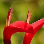 青少年父母的責任